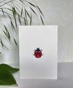 Ladybird Embroidered Card