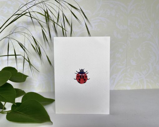 Ladybird Embroidered Card