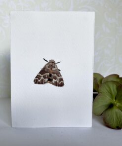 Moth Embroidered Card