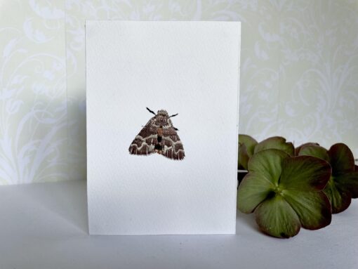 Moth Embroidered Card