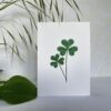 Shamrock Flower Embroidered Card